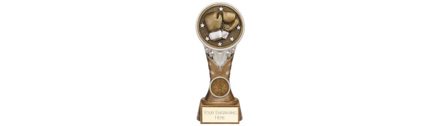 IKON BOXING RESIN TROPHY WITH OPTIONAL CUSTOM CENTRE - 5 SIZES - 12.5CM - 22.5CM